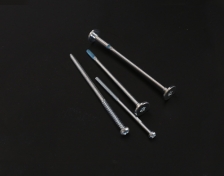 Customizable screws