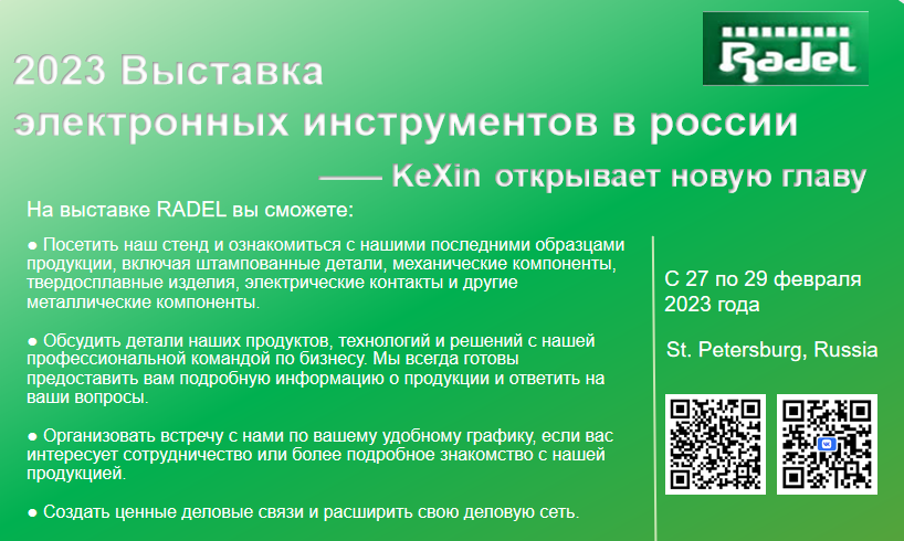 Exploring the future of Russian elec